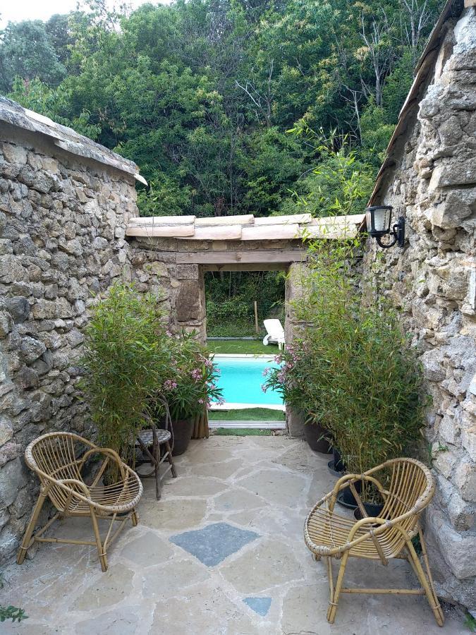 Les Mimosas Saint-Jean-du-Gard