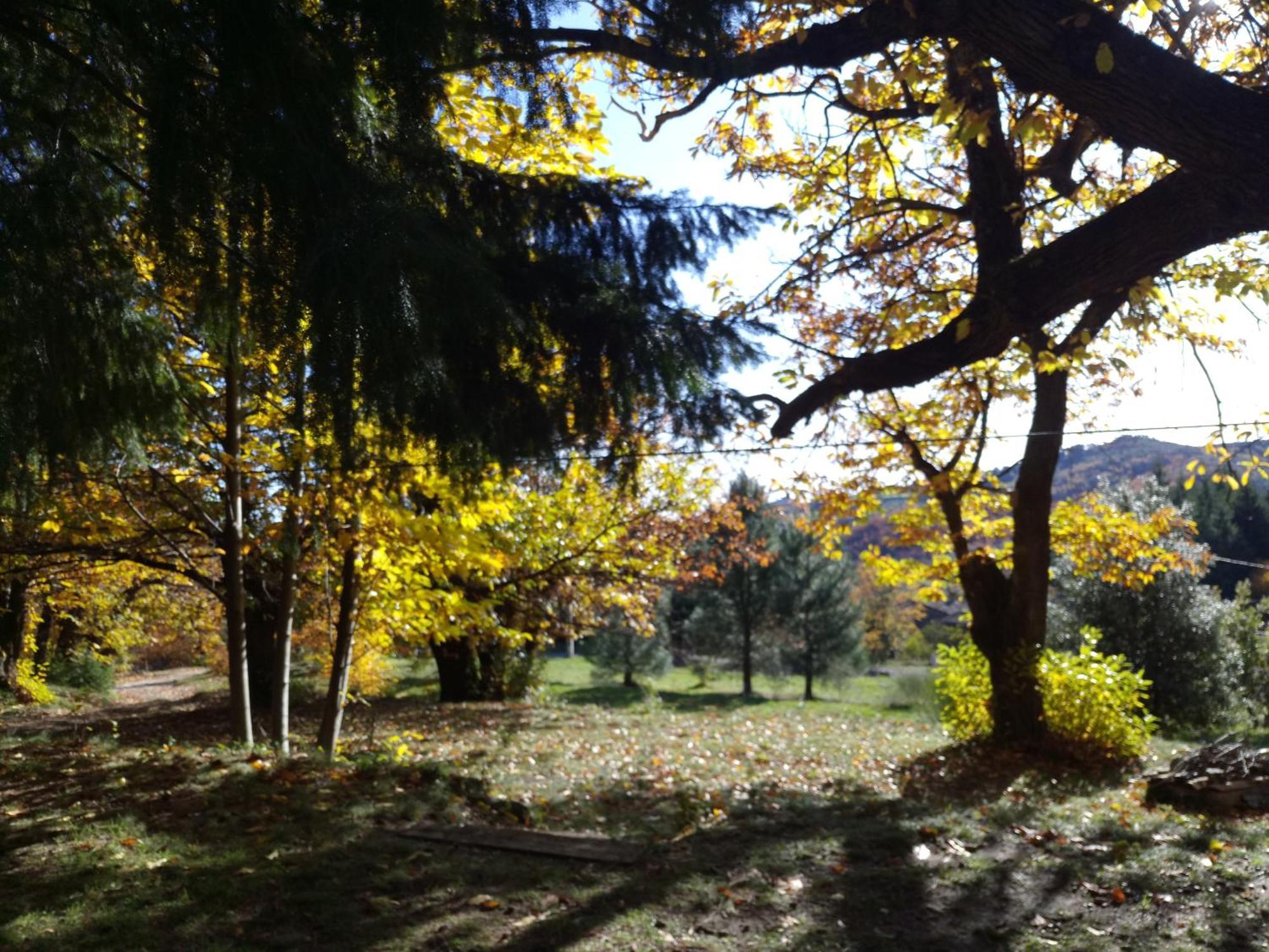 Séjour chez l'habitant Les Mimosas *